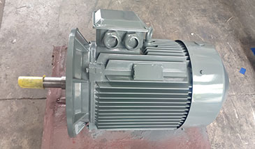 節能水泵電機